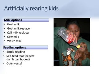 Milk options 
• Goat milk 
• Goat milk replacer 
• Calf milk replacer 
• Cow milk 
• Waste milk 
Feeding options 
• Bottle-feeding 
• Self-feed teat feeders 
(lamb bar, bucket) 
• Open vessel 
 