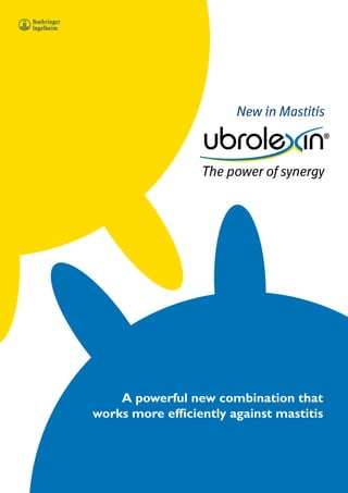 New in Mastitis 
The power of synergy 
A powerful new combination that 
works more efficiently against mastitis 
 