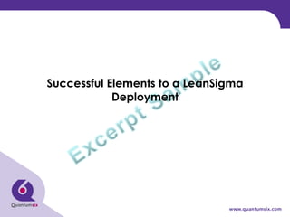 Successful Elements to a LeanSigma Deployment 