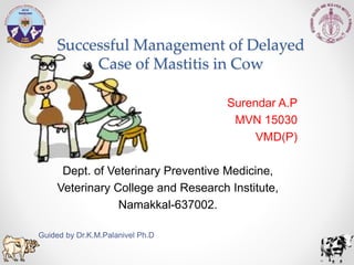 Successful Management of Delayed
Case of Mastitis in Cow
Surendar A.P
MVN 15030
VMD(P)
Dept. of Veterinary Preventive Medicine,
Veterinary College and Research Institute,
Namakkal-637002.
Guided by Dr.K.M.Palanivel Ph.D
 