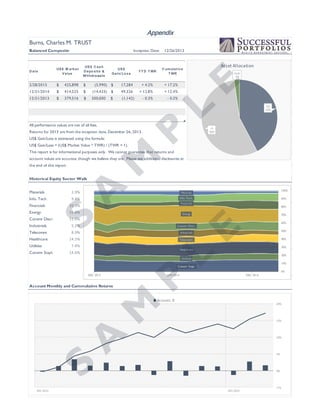 Successful Portfolios Guide to Our Client Reports | PDF