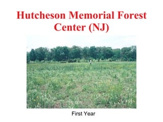 Hutcheson Memorial Forest Center (NJ) First Year 