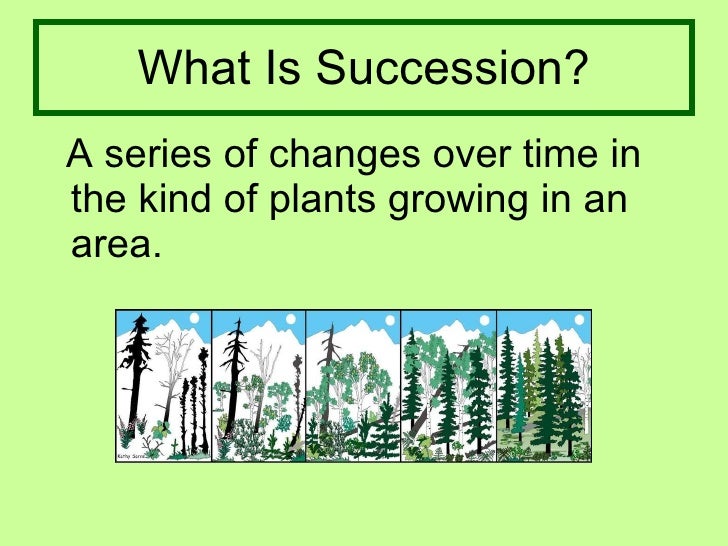 what caused succession Ecological disturbances or new areas are the causes of ecological succession the ecological disturbances such as glaciers, forest fire etc, are the causes for the. what caused succession Ecological disturbances or new areas are the causes of ecological succession the ecological disturbances such as glaciers, forest fire etc, are the causes for the.