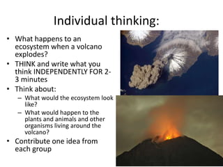 Individual thinking:
• What happens to an
ecosystem when a volcano
explodes?
• THINK and write what you
think INDEPENDENTLY FOR 2-
3 minutes
• Think about:
– What would the ecosystem look
like?
– What would happen to the
plants and animals and other
organisms living around the
volcano?
• Contribute one idea from
each group
 