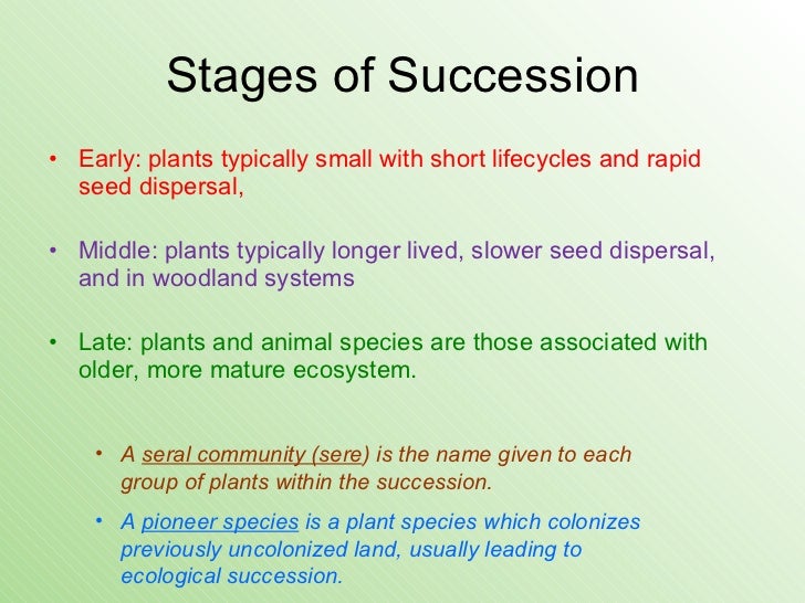 5 Stages Of Primary Succession