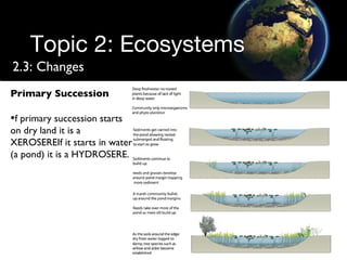 Topic 2: Ecosystems 2.3: Changes Primary Succession f primary succession starts on dry land it is a XEROSEREIf it starts in water (a pond) it is a HYDROSERE.  