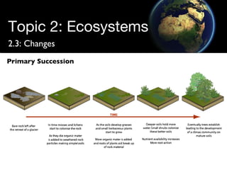 Topic 2: Ecosystems 2.3: Changes Primary Succession 