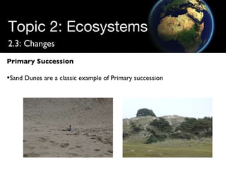 Topic 2: Ecosystems 2.3: Changes Primary Succession Sand Dunes are a classic example of Primary succession 