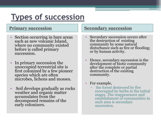heterotrophic succession