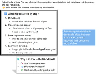 Understanding Ecological Succession: Primary vs Secondary Processes and ...