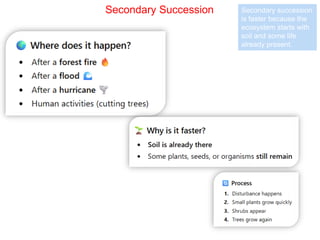 Understanding Ecological Succession: Primary vs Secondary Processes and ...