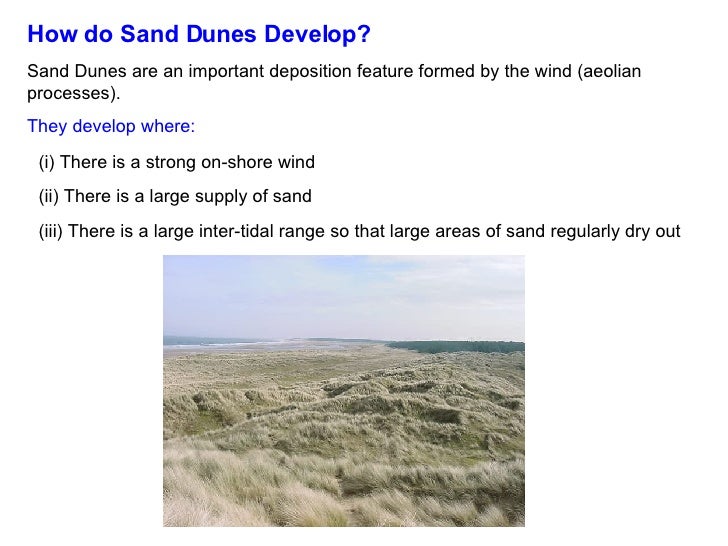 succession lesson1 how does sand form