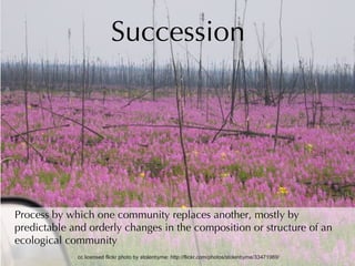 Succession Process by which one community replaces another, mostly by predictable and orderly changes in the composition or structure of an ecological community cc licensed flickr photo by stolenbyme: http://flickr.com/photos/stolenbyme/33471969/ 