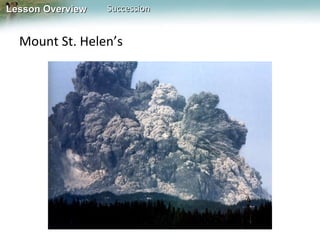 Mount St. Helen’s 