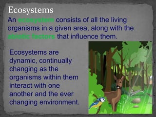 Ecosystems
An ecosystem consists of all the living
organisms in a given area, along with the
abiotic factors that influence them.
Ecosystems are
dynamic, continually
changing as the
organisms within them
interact with one
another and the ever
changing environment.

 