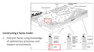 Constructing a facies model:
2. Interpret facies using knowledge
of sedimentary processes and
modern environments
 