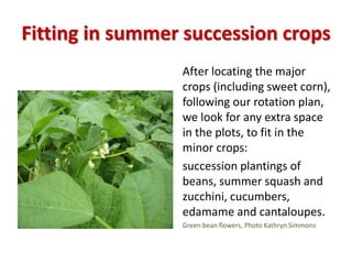 Succession
Crops Planning
Chart
 We pencil in arrows,
fitting the succession
crops into the spaces
available.
 At the be...