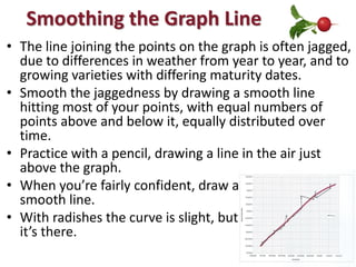 Radish Succession Crops Graph
with Smoothed Line
 