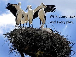 With every task  and every plan,   