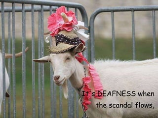 It's DEAFNESS when  the scandal flows,   