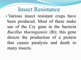 Insect Resistance
Various insect resistant crops have
been produced. Most of these make
use of the Cry gene in the bacteria
Bacillus thuringiensis (Bt); this gene
directs the production of a protein
that causes paralysis and death to
many insects.
 