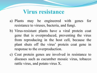 Virus resistance
a) Plants may be engineered with genes for
resistance to viruses, bacteria, and fungi.
b) Virus-resistant plants have a viral protein coat
gene that is overproduced, preventing the virus
from reproducing in the host cell, because the
plant shuts off the virus’ protein coat gene in
response to the overproduction.
c) Coat protein genes are involved in resistance to
diseases such as cucumber mosaic virus, tobacco
rattle virus, and potato virus X.
 