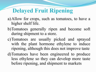 Delayed Fruit Ripening
a)Allow for crops, such as tomatoes, to have a
higher shelf life.
b)Tomatoes generally ripen and become soft
during shipment to a store.
c)Tomatoes are usually picked and sprayed
with the plant hormone ethylene to induce
ripening, although this does not improve taste
d)Tomatoes have been engineered to produce
less ethylene so they can develop more taste
before ripening, and shipment to markets
 
