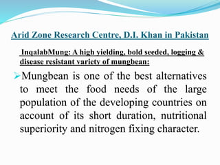 Arid Zone Research Centre, D.I. Khan in Pakistan
InqalabMung: A high yielding, bold seeded, logging &
disease resistant variety of mungbean:
Mungbean is one of the best alternatives
to meet the food needs of the large
population of the developing countries on
account of its short duration, nutritional
superiority and nitrogen fixing character.
 