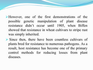 However, one of the first demonstrations of the
possible genetic manipulation of plant disease
resistance didn’t occur until 1905, when Biffen
showed that resistance in wheat cultivars to stripe rust
was simply inherited.
 Since then, there have been countless cultivars of
plants bred for resistance to numerous pathogens. As a
result, host resistance has become one of the primary
control methods for reducing losses from plant
diseases.
 