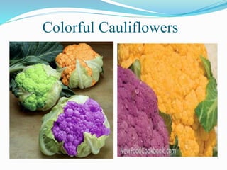 Colorful Cauliflowers
 