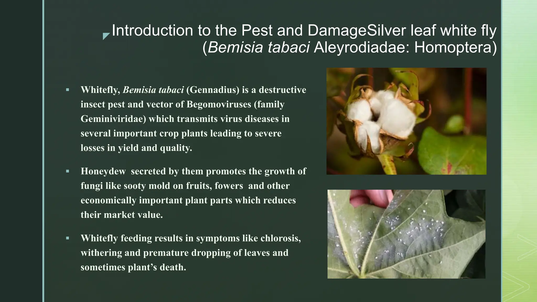 Success Stories of Biocontrol Agents final..pptx