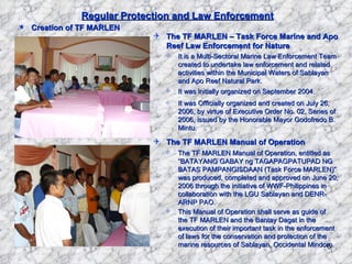 Regular Protection and Law Enforcement <ul><li>Creation of TF MARLEN </li></ul><ul><li>The TF MARLEN – Task Force Marine a...