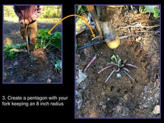 3. Create a pentagon with your
fork keeping an 8 inch radius
 