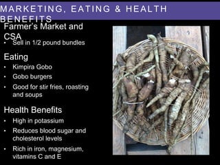 • Sell in 1/2 pound bundles
• Kimpira Gobo
Farmer’s Market and
CSA
Eating
• Good for stir fries, roasting
and soups
• Gobo burgers
Health Benefits
• High in potassium
• Rich in iron, magnesium,
vitamins C and E
• Reduces blood sugar and
cholesterol levels
M A R K E T I N G , E A T I N G & H E A L T H
B E N E F I T S
 