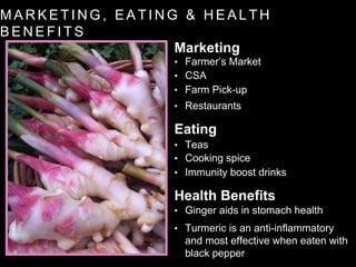 M A R K E T I N G , E A T I N G & H E A L T H
B E N E F I T S
Marketing
Eating
Health Benefits
• Farmer’s Market
• CSA
• Farm Pick-up
• Restaurants
• Teas
• Cooking spice
• Immunity boost drinks
• Ginger aids in stomach health
• Turmeric is an anti-inflammatory
and most effective when eaten with
black pepper
 