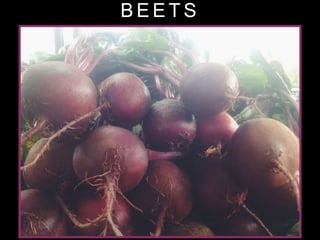 B E E T S
 