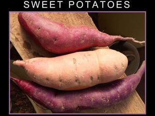 S W E E T P O T A T O E S
 