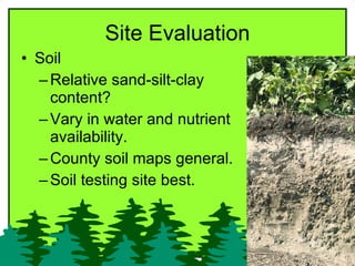 Site Evaluation <ul><li>Soil </li></ul><ul><ul><li>Relative sand-silt-clay content? </li></ul></ul><ul><ul><li>Vary in wat...