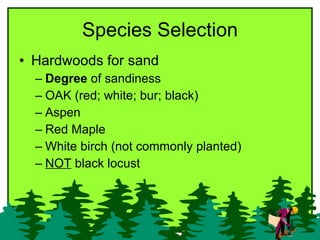 Species Selection <ul><li>Hardwoods for sand  </li></ul><ul><ul><li>Degree  of sandiness </li></ul></ul><ul><ul><li>OAK (r...