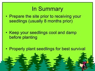 In Summary <ul><li>Prepare the site prior to receiving your seedlings (usually 8 months prior) </li></ul><ul><li>Keep your...