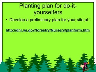 Planting plan for do-it-yourselfers <ul><li>Develop a preliminary plan for your site at:  </li></ul><ul><li>http://dnr.wi....