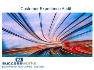1	
  growth through Multi-Channel innovation
Customer Experience Audit
 