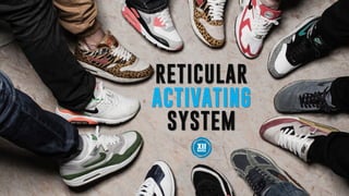 RETICULAR
ACTIVATING
SYSTEM
 