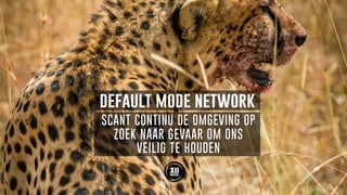 default mode network
SCANT CONTINU DE OMGEVING OP
ZOEK NAAR GEVAAR OM ONS
VEILIG TE HOUDEN
 
