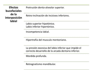 Efectos
bucofaciales
de la
interposición
labial
Protrusión dento-alveolar superior.
Retro-inclinación de incisivos inferiores.
Labio superior hipotónico.
Labio inferior hipertónico.
Incompetencia labial.
Hipertrofia del musculo mentoniano.
La presión excesiva del labio inferior que impide el
correcto desarrollo de la arcada dentaria inferior.
Mordida profunda.
Retrognatismo mandibular.
 