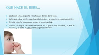 QUE HACE EL BEBE… 
 Los labios sellan el pecho y lo afianzan dentro de la boca. 
 La lengua cubre y sobrepasa la encía inferior, y se mantiene en esta posición. 
 El bebé efectúa una presión intraoral negativa (PIN). 
 Cuando la lengua del bebé desciende en la parte más posterior, la PIN es 
máxima y la leche fluye hacia la garganta del bebé 
 