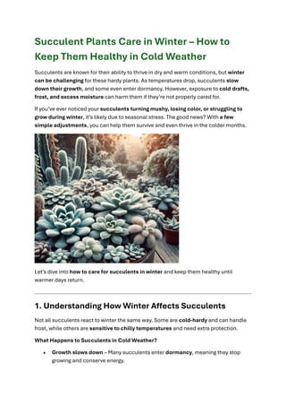 Succulent Plants Care in Winter – How to Keep Them Healthy in Cold ...
