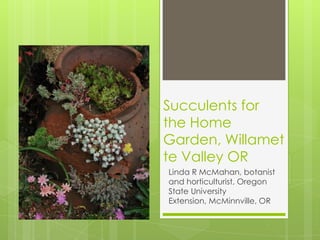 Succulents for
the Home
Garden, Willamet
te Valley OR
Linda R McMahan, botanist
and horticulturist, Oregon
State University
Extension, McMinnville, OR
 