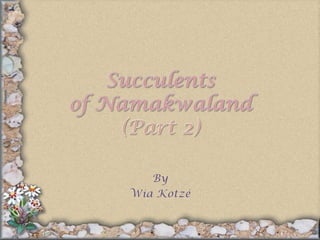Succulentsof Namakwaland(Part 2) By Wia Kotzé 