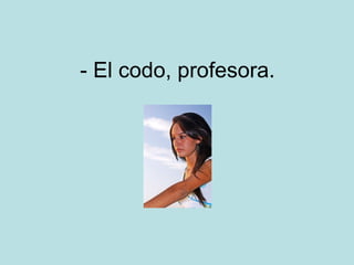 - El codo, profesora. 